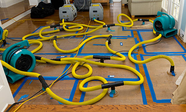 Professional Basement Flood Cleanup technician working in Chowchilla, CA